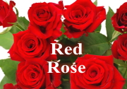 レッドローズ・赤バラの　ブーケ・花束