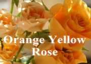 オレンジバラ　黄色バラ　ブーケ　花束