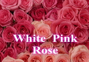 ピンクバラ　白バラ　ホワイトローズ　ブーケ　花束