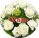 ホワイトローズ・白バラの　ブーケ・花束