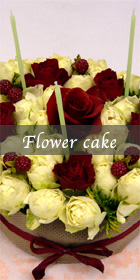 �t�����[�P�[�L